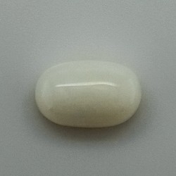 White Coral (Safed Moonga) 5.3 Ct Gem Quality